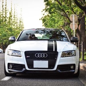 Meet your Posher, Thảo